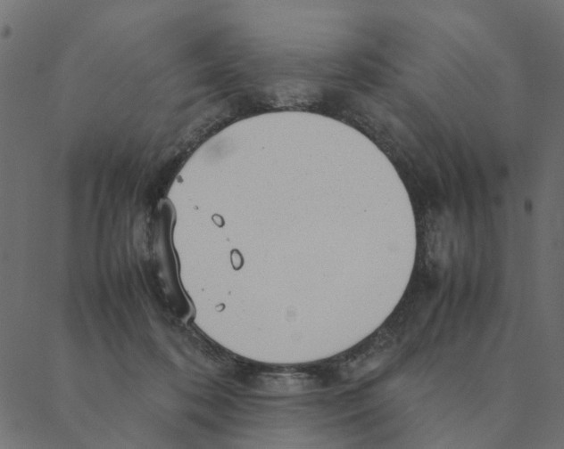 X0000087390316200705181314