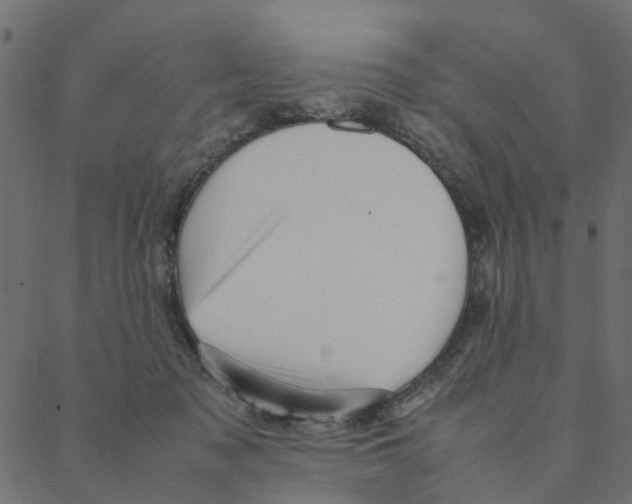 X0000087390317200705181314