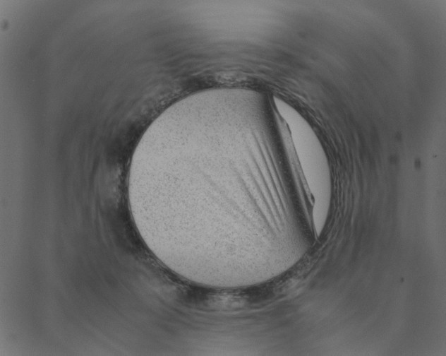X0000087390319200705181314
