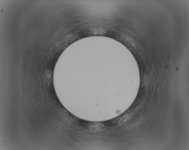 X0000087390321200705181314