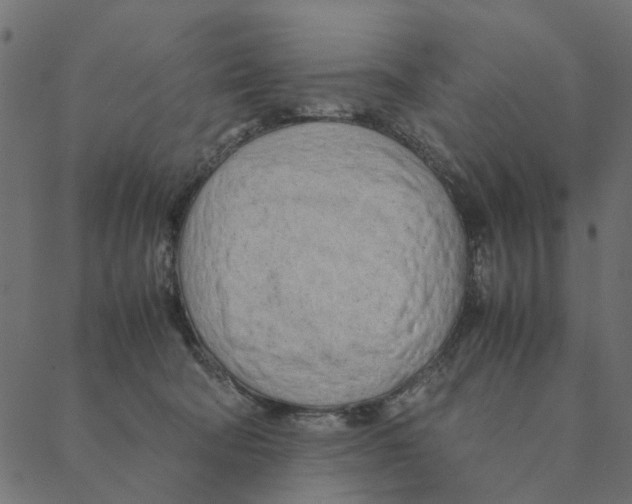 X0000087390322200705181314