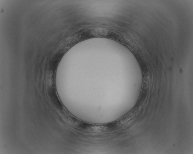 X0000087390323200705181314