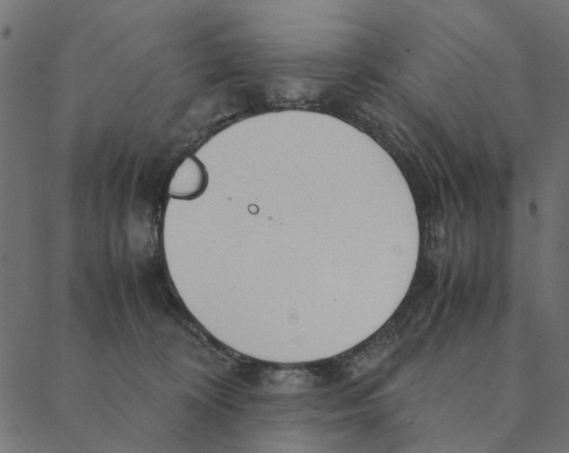 X0000087390324200705181314