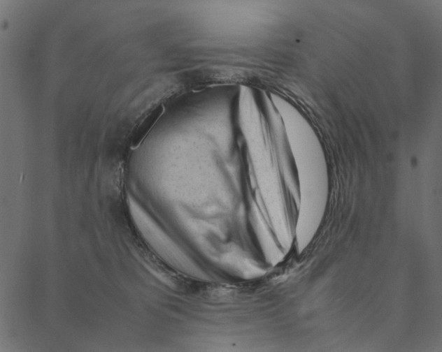 X0000087390325200705181314