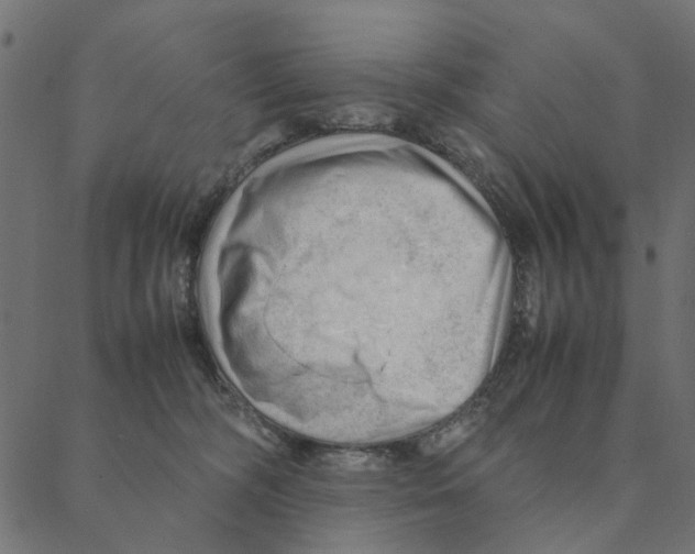 X0000087390326200705181313