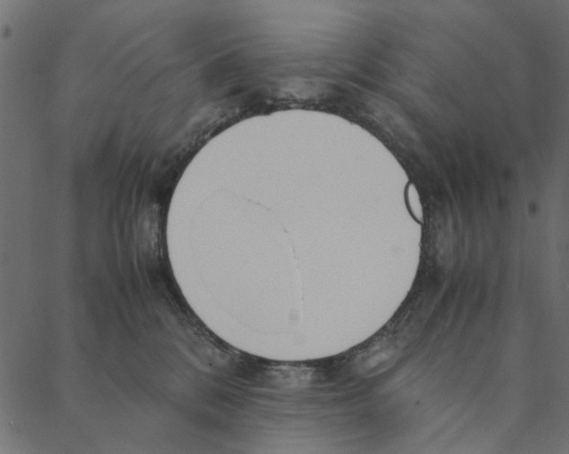 X0000087390328200705181313