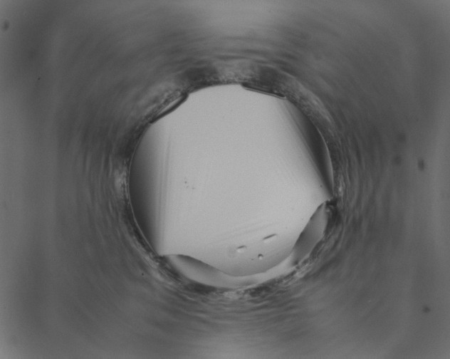 X0000087390329200705181313