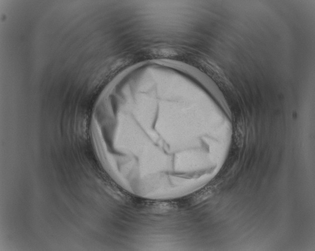 X0000087390330200705181313