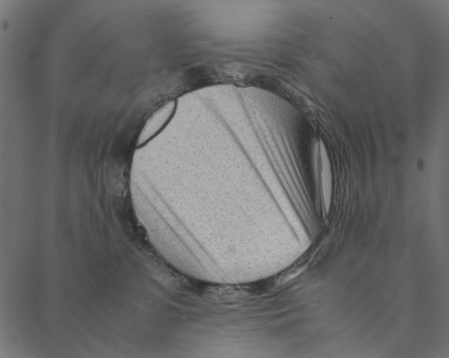 X0000087390331200705181313