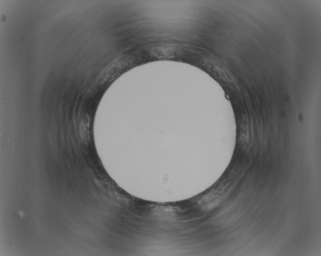 X0000087390332200705181313