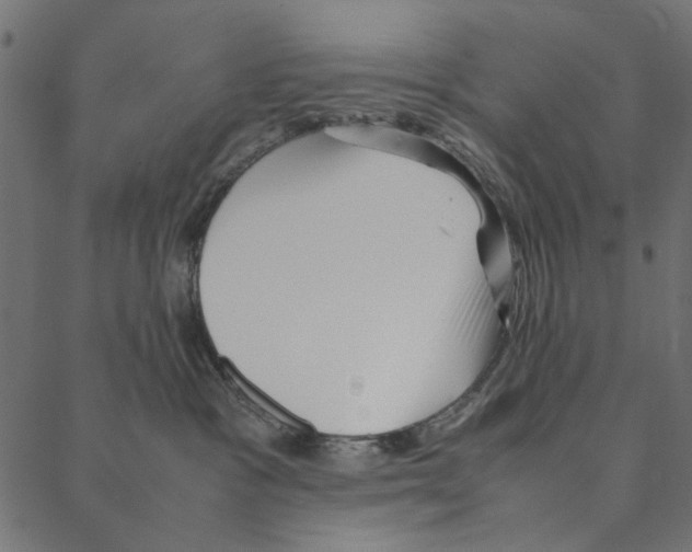 X0000087390333200705181313