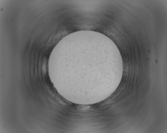 X0000087390334200705181313