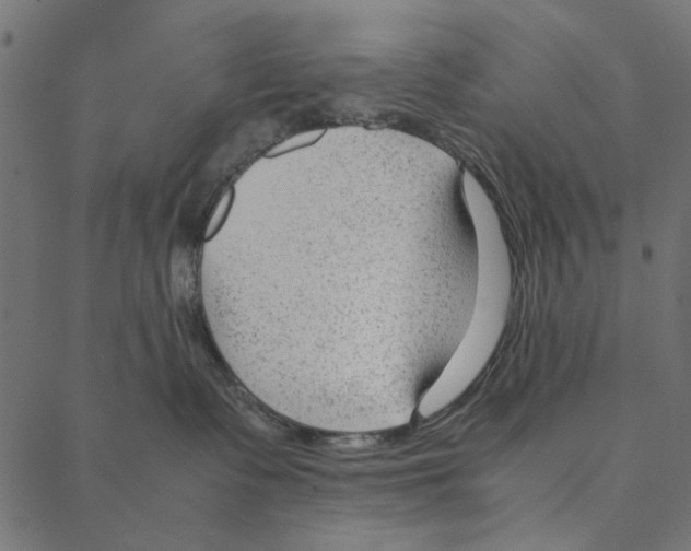 X0000087390335200705181313