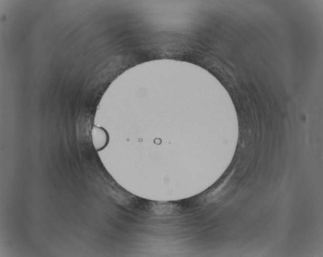 X0000087390336200705181313