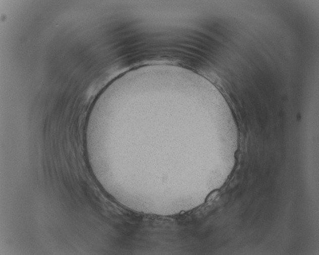 X0000087390337200705181313