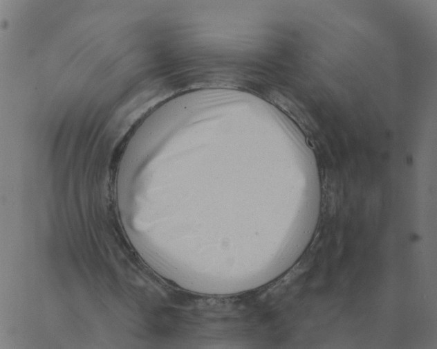 X0000087390338200705181313