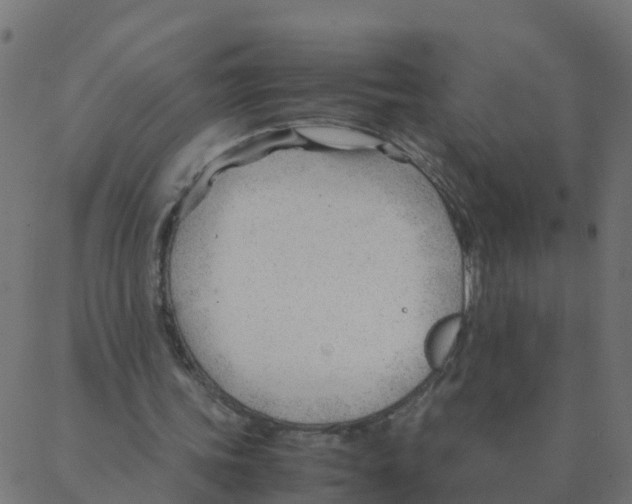 X0000087390339200705181313