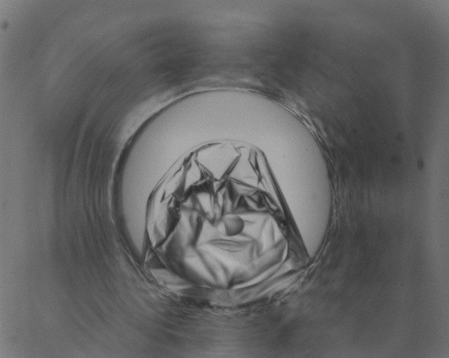 X0000087390340200705181313