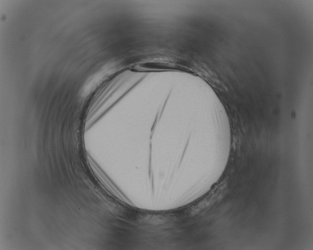 X0000087390341200705181313