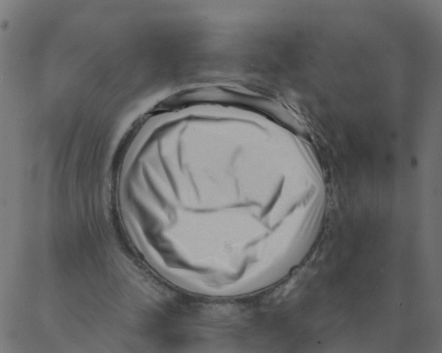 X0000087390342200705181313