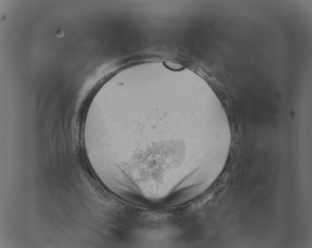 X0000087390343200705181313