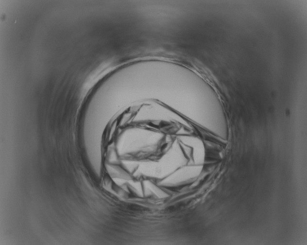 X0000087390344200705181313