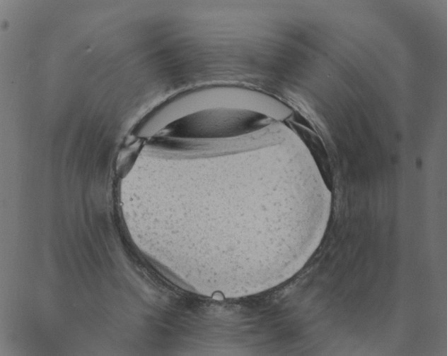 X0000087390346200705181313