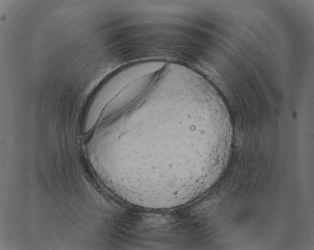 X0000087390347200705181313