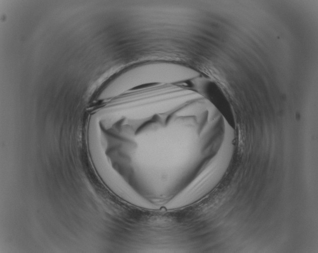 X0000087390348200705181313