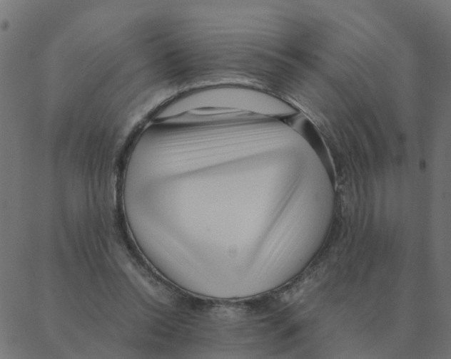 X0000087390350200705181313