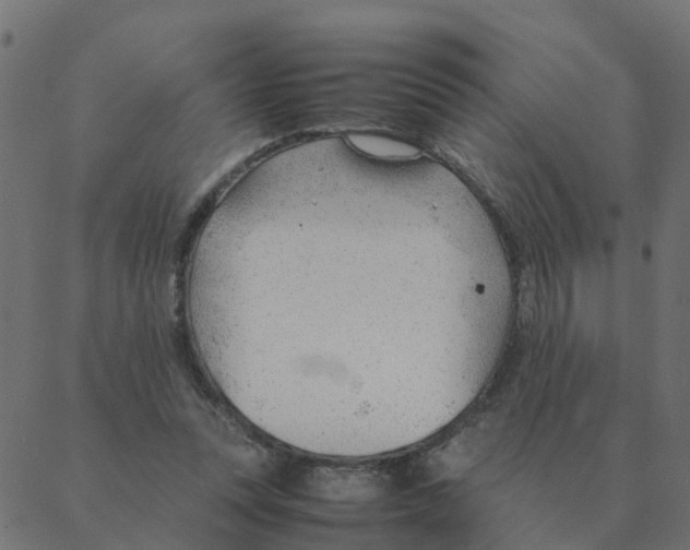 X0000087390351200705181313