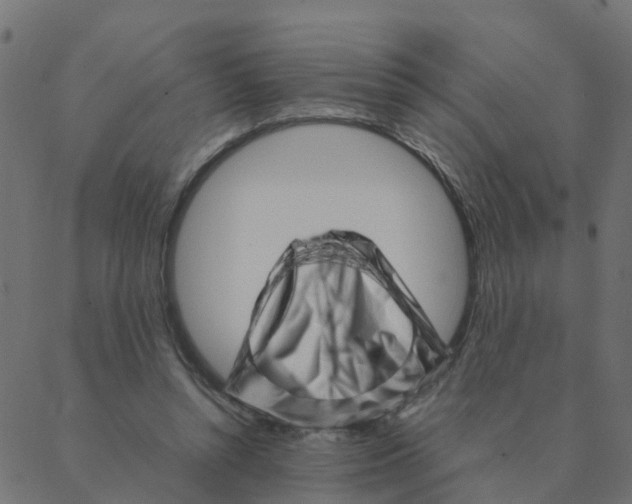 X0000087390352200705181313