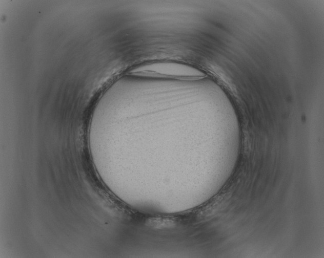 X0000087390354200705181313