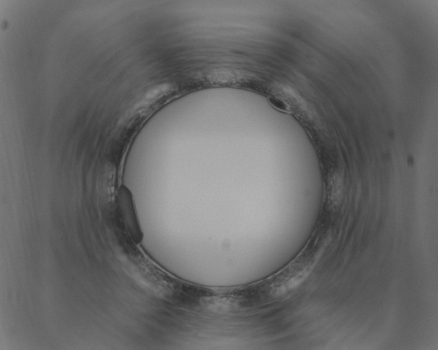 X0000087390356200705181313