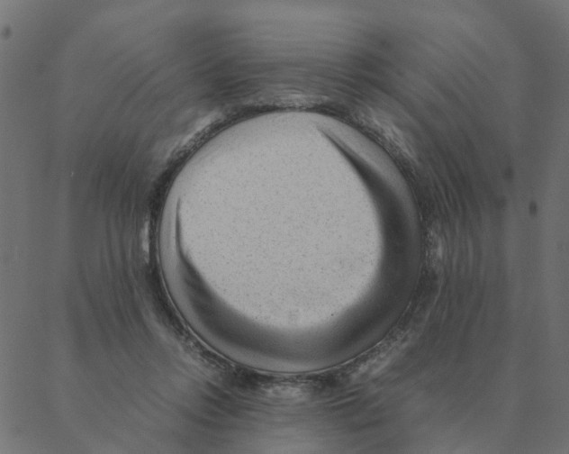 X0000087390358200705181313