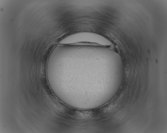 X0000087390359200705181313