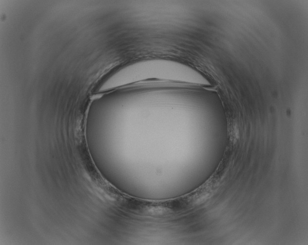 X0000087390360200705181313