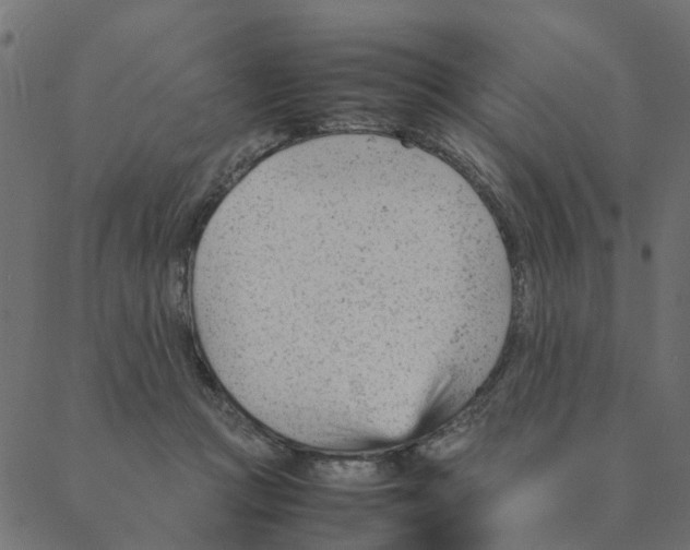 X0000087390361200705181313