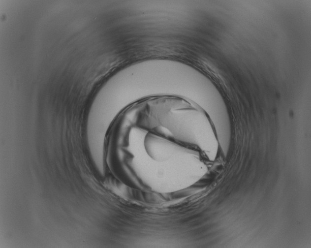 X0000087390362200705181313