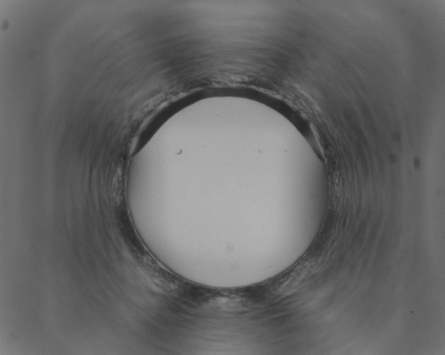 X0000087390364200705181313