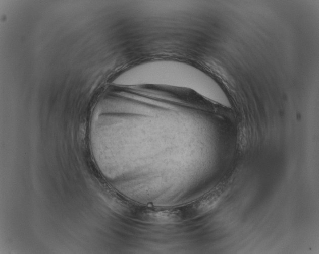 X0000087390365200705181313