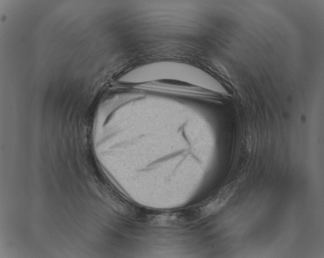 X0000087390366200705181313