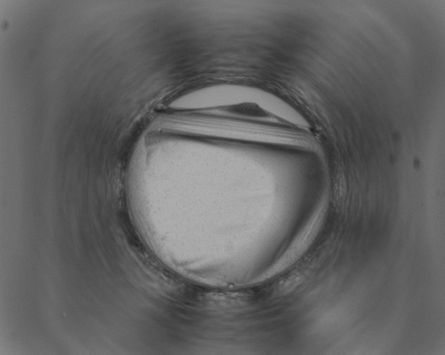 X0000087390367200705181313