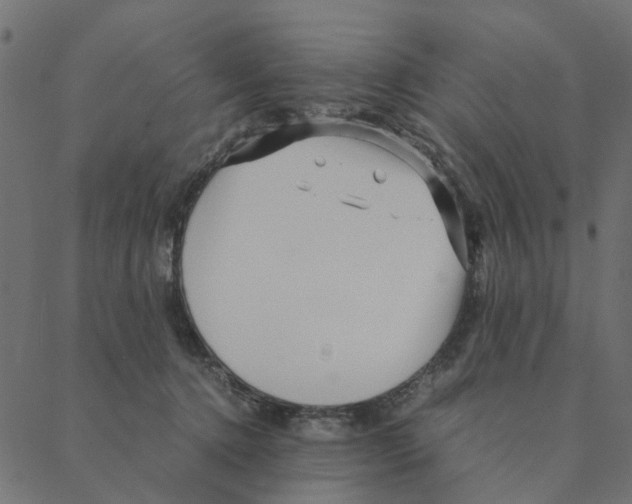 X0000087390368200705181313