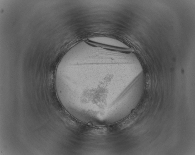 X0000087390369200705181313