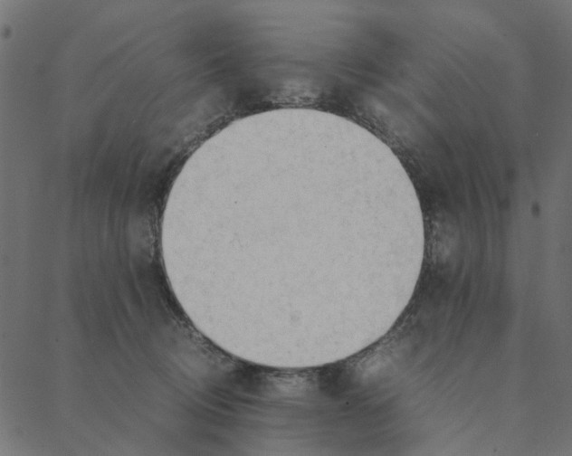 X0000087390370200705181313