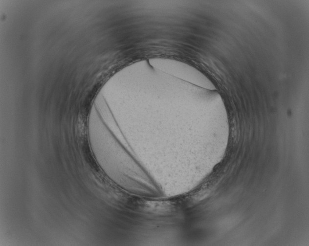 X0000087390371200705181313