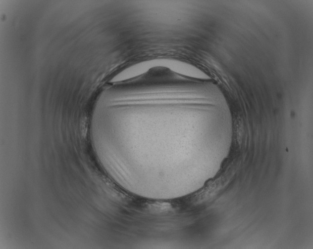 X0000087390374200705181313