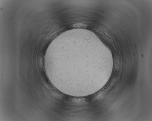 X0000087390375200705181313