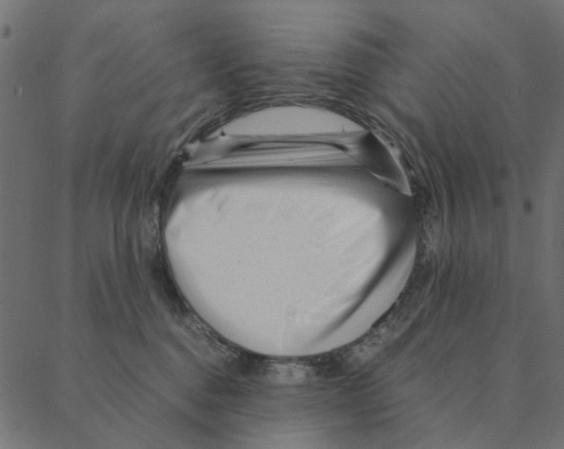 X0000087390376200705181313